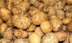 Patates Fiyatı Tartışmasına Ticaret Bakanlığı Noktayı Koydu