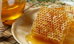 Petek Bal için En Doğru Saklama Koşulları Nelerdir?