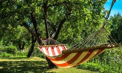Rüyada Hamak Görmek, Hamakta Sallanmak, Uyumak, Hamak Kurmak ve Kahve İçmek Ne Anlama Gelir?