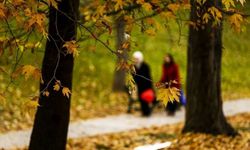 Sıcaklıklar Yurt Genelinde Mevsim Normallerinin Üzerinde Seyredecek