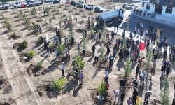 Sincan’da Milli Ağaçlandırma Günü Kapsamında 244 Fidan Dikildi