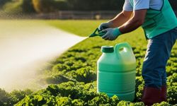 Tahıl İlacı Yanlış Kullanılırsa Can Alıyor: Uzmanlar Uyardı