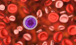 Talasemi Nedir? Belirtileri, Nedenleri ve Tedavisi