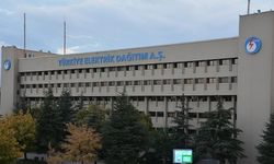 TEDAŞ’tan AB Destekli Canlı Hat Bakım Projesi: İhale Başlıyor