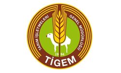 TİGEM, Küçükbaş Hayvan Satışı için İhale Düzenliyor