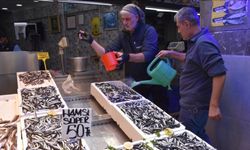 Trabzon’da Hamsi Bereketi Fiyatları Düşürdü