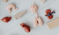 Türkiye’de Organ Bağışında Dijital Dönem