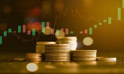 Verusa Holding Bilanço Açıkladı, Ne Kadar Kazanıyor? VERUS Hisse Alınır mı?