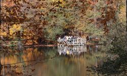 Yedigöller’e Akın: Sonbaharın Renkleri Ziyaretçileri Büyüledi