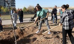 Yenimahalle’de Ağaçlandırma Töreni: Fidanlar Toprakla Buluştu