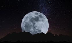 Yerçekimi Yüzde 50 Azalsaydı Dünya Ne Yaşardı?