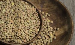 Yeşil Mercimek ve Yulaf İthalatında Vergi Düzenlemesi