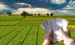 Zirai Don Desteğine Ek 1,7 Milyar Lira: Çiftçilere Müjde