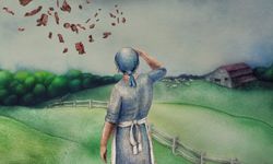 1876’de ADB’deki Et Yağmurunun Ardındaki Gerçek Nedir?