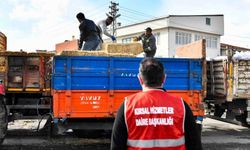 ABB’den Manda Üreticisine Tam Destek: 57,5 Ton Yem Dağıtıldı