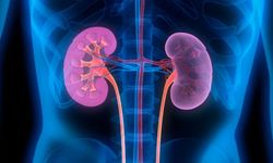 Alport Sendromu Nedir? Nedenleri, Belirtileri ve Tedavisi