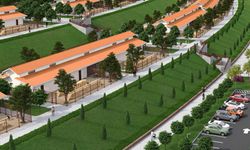 Altındağ’da Sokak Hayvanları Merkezi Yükseliyor: Proje Hızla İlerliyor