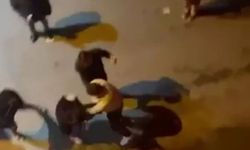 Ankara Merkezli Dolandırıcılık Operasyonu: 24 Kişi Tutuklandı