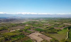 Ankara'da Dev Tarla Araç Fiyatına Satılacak: İşte Son Tarih