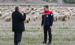 Ankara’da Tiftik Üretimi Öne Çıkacak: Sözleşmeli Destek Başlıyor