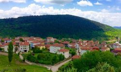 Ankara'nın en zengin köyleri belli oldu!