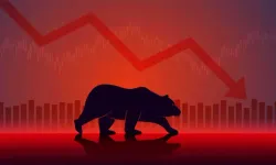 Ayı Piyasası Nedir? Düşüş Dönemleri Yatırımcıyı Nasıl Etkiler?