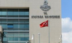 AYM’den Sahipsiz Hayvan Düzenlemesine Onay