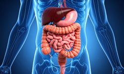 Bağırsak Kanamasında Divertikül Riski: Uzman Uyarıyor