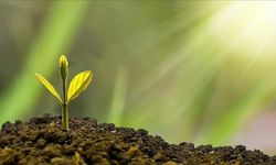 Bakanlıktan Belediyelere Dev Destek: Çevre Yatırımları 95 Milyarı Aştı