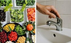 BM’den Kritik Çağrı: Gıda ve Su İsrafına Karşı İş Birliği Şart