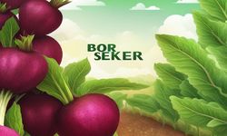 BORSK Hisse Yüzde 300 Bedelsiz Bölünüyor, SPK Onayı Geldi!