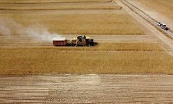 Çiftçilere 2,5 Milyar Liralık Destek Ödemesi Hesaplara Yatıyor