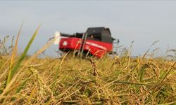 Çiftçiye Kasımda 4,2 Milyar Lira Tazminat Ödemesi Yapıldı