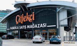 Çitlekçi Halka Arz Edilecek: Kaç Lot Satılacak?