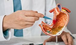 Mide Fıtığı Nedir? Nedenleri, Belirtileri ve Tedavisi