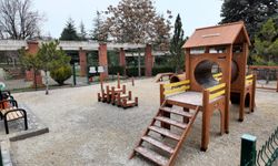 Etimesgut’ta Yılbaşı Öncesi Patili Dostlara Özel Parkurlar