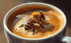 Falda Arı Görmek Ne Anlama Gelir?