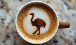 Falda Devekuşu Görmek Ne Anlama Gelir?