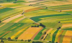 Fiyatı Gören Dönüp Bir Daha Bakacak: Ankara'nın En Pahalı Yerinde Mahkeme Arsa Satacak