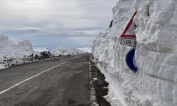 Yoğun Kar Yağışı Bu Kış Da Ardahan-Ardanuç Yolunu Trafiğe Kapattı