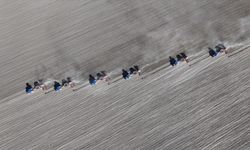 İklim Dirençli Tohumlar Gıda Güvenliğinin Anahtarı Oldu