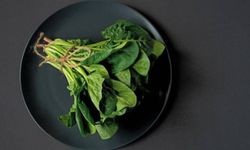 Ispanak Buzlukta Nasıl Saklanır?