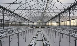 Kahramankazan’da Modern Tarım Projesi: Termal Sera Kapılarını Açıyor