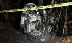 Karabük’te Ağaca Çarpan Araç Alev Aldı: Sürücü Yanarak Can Verdi