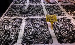 Karadeniz’de Hamsi 100 TL’den Satılıyor