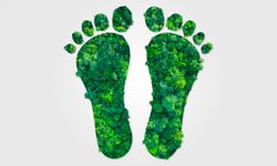 Karbon Ayak İzi Nedir? Karbon Ayak İzi Nasıl Hesaplanır?