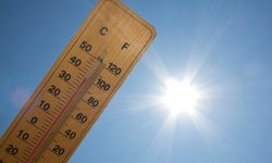 Kasım Pastırma Sıcağıyla Geçti: Son 55 Yılın En Sıcak 3’üncü Kasım Ayı