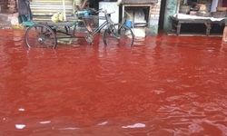 Kırmızı Yağmur (Kan Yağmuru) Nedir ve Neden Oluşur?