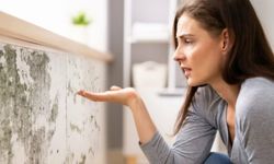 Küf Alerjisi Nedir? Korunma ve Tedavi Yolları