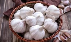Kuru Sarımsak Nasıl Saklanır? Doğru Saklama Rehberi